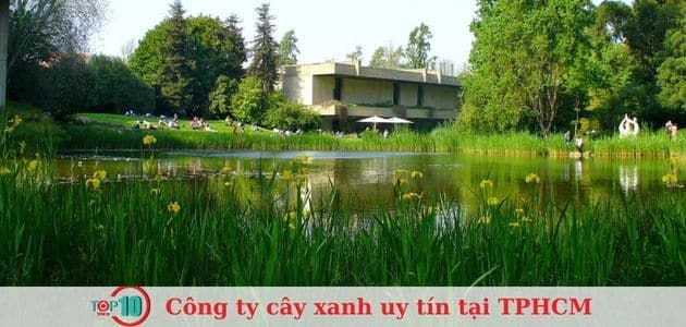 Cảnh Quan Xanh - Kiến Tạo Không Gian Xanh Đẳng Cấp