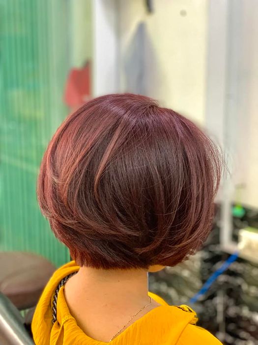 Bộ sưu tập tóc ngắn thời thượng tại Salon Nguyên Vidal