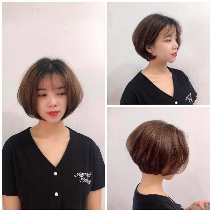 Bộ sưu tập tóc ngắn nghệ thuật tại Viện Tóc Jim Trịnh