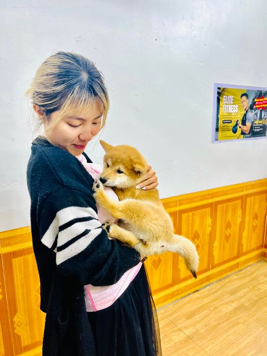 BaNguyen Kennel - Ảnh 1