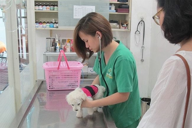 PetCare tự hào là hệ thống phòng khám thú y đạt chuẩn quốc tế, được bình chọn là địa chỉ đáng tin cậy nhất tại TP.HCM