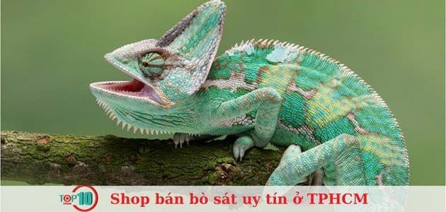 Việt Pet Garden - Thiên đường cho người đam mê bò sát