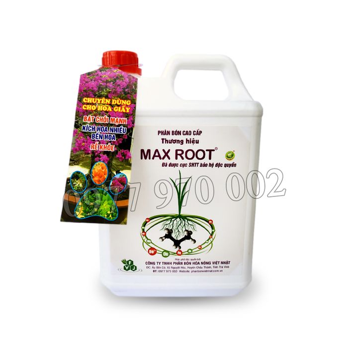 Hình ảnh minh họa phân bón MAX ROOT chuyên hoa giấy 1