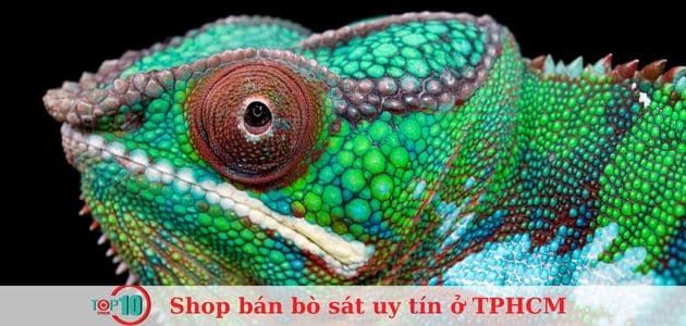Miền Đất Hứa Pet Shop - Thiên đường cho người yêu thú cưng