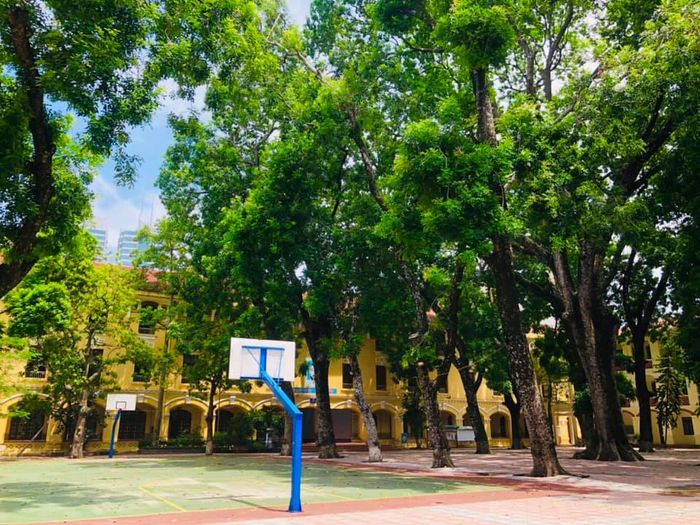 Khuôn viên xanh mát dưới tán cổ thụ tại THPT Phan Đình Phùng