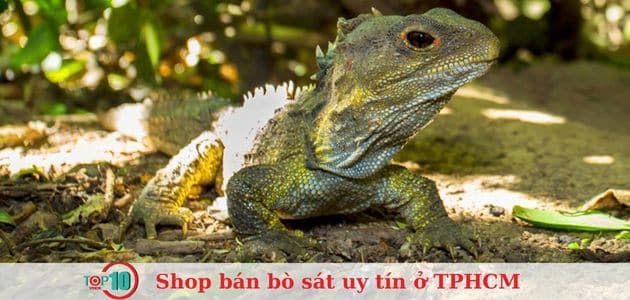 Pop Pet Shop - Đẳng cấp bò sát hàng đầu