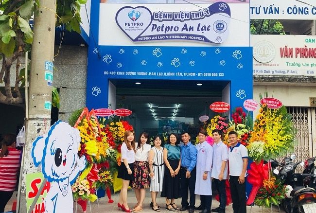 Bệnh viện Thú y PETPRO - Địa chỉ vàng trong lĩnh vực thú y được đánh giá cao nhất tại TP.HCM