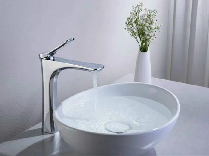 Thiết bị vệ sinh Tân Lê Gia - Hình ảnh 2