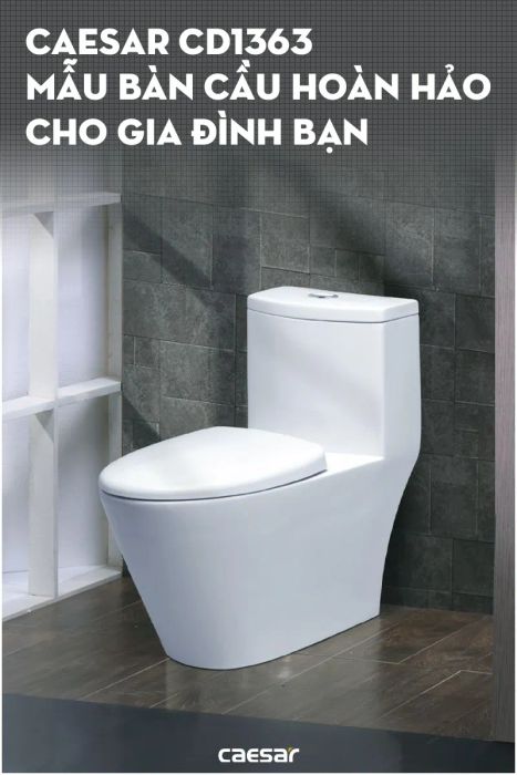 Caesar Việt Nam - Hình ảnh 1