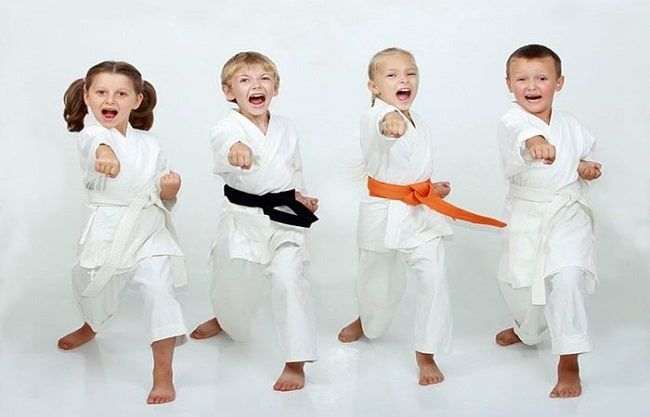 Đình Nam Chơn là một trong những trung tâm dạy võ cho trẻ em uy tín và chất lượng tại TP.HCM.