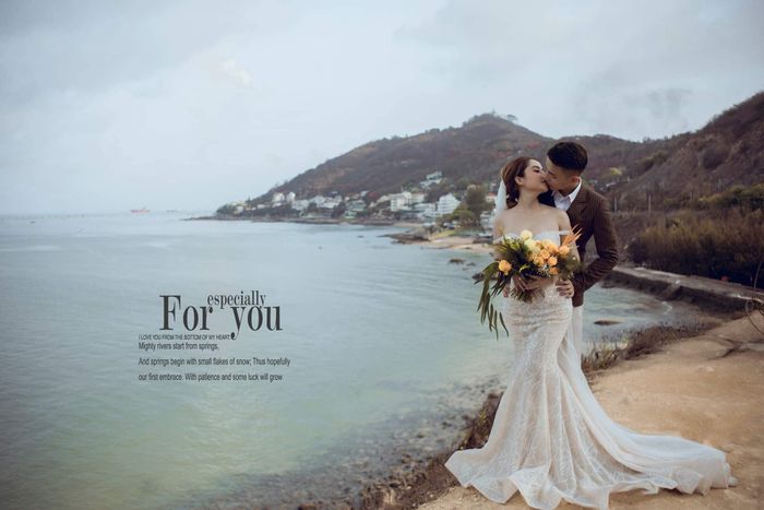 SHADY Studio – Hình ảnh minh họa 2