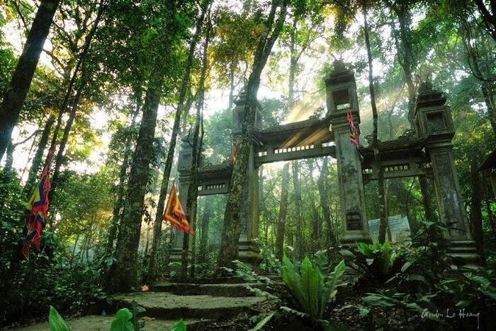 Hình ảnh minh họa số 1 - Nguồn từ kho tư liệu mạng