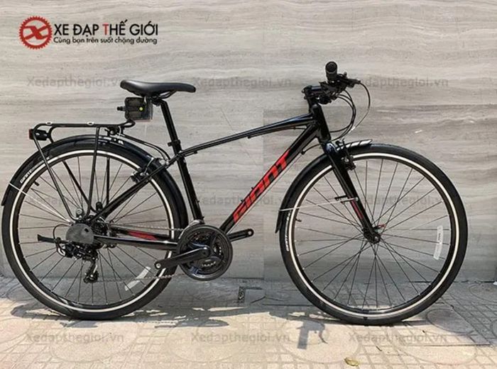 Các địa chỉ bán xe đạp nổi bật tại Quận 3