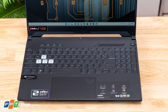 Asus TUF Gaming A15 FA507RM-HN018W (Ảnh 8)