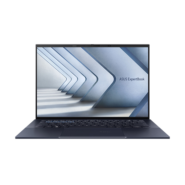 Laptop Asus ExpertBook B5 B5602CVA-L20164W 