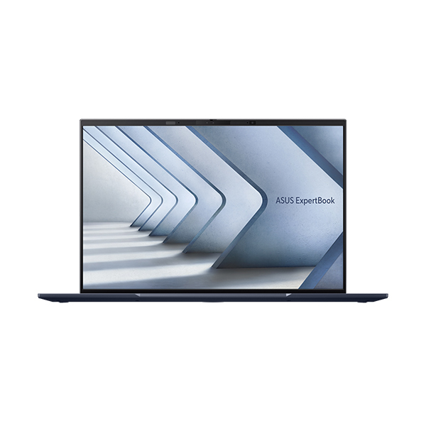 Laptop Asus ExpertBook B5 B5602CVA-L20164W 