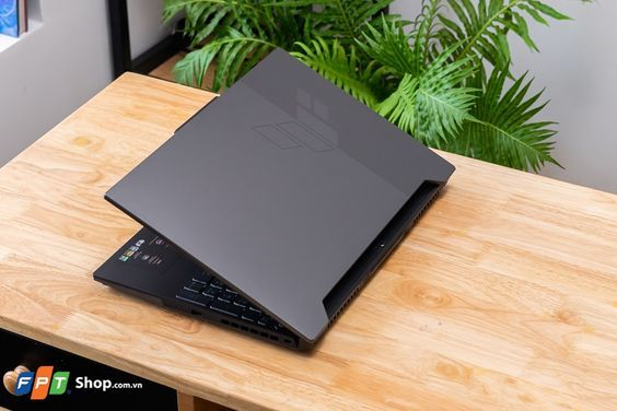 Asus TUF Gaming A15 FA507RM-HN018W (Ảnh 2)