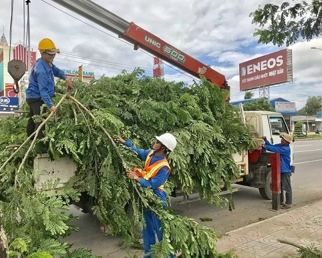 Phúc An Phát - Đồng Hành Cùng Cuộc Sống Xanh