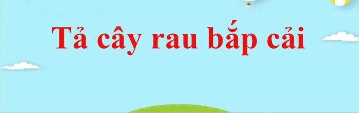 Ảnh minh họa (Nguồn internet) ảnh 1