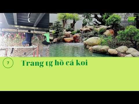 Khám phá Công ty TNHH Cảnh quan Phương Trung - Chuyên gia cây xanh hàng đầu