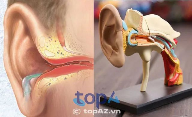 Danh sách bác sĩ chuyên trị viêm tai giữa xuất sắc tại thủ đô