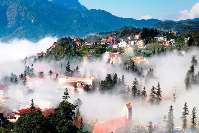 Ruộng bậc thang Sa Pa mùa nước đổ (Nguồn: internet) ảnh 1