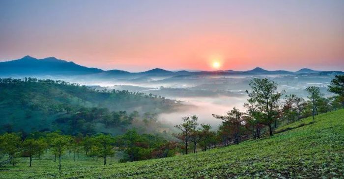 Hình ảnh minh họa sống động (Nguồn: internet) ảnh 1