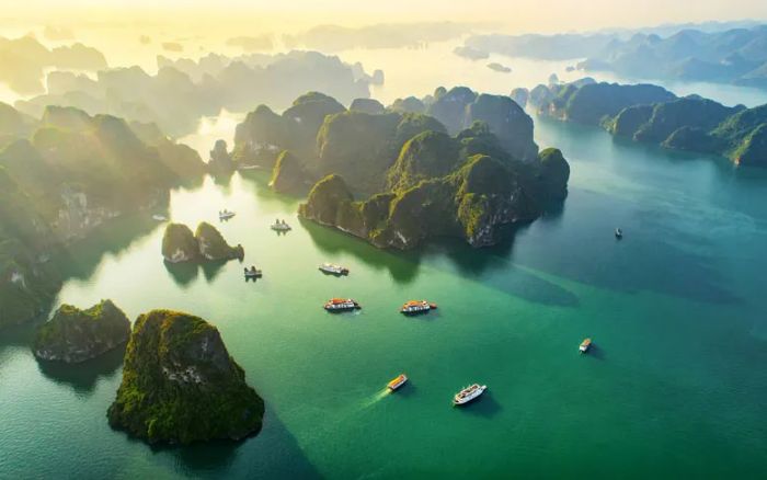 Hình ảnh minh họa tuyệt đẹp (Nguồn: internet) ảnh 1