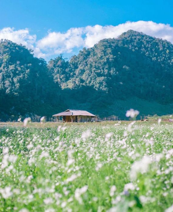 Khoảnh khắc đẹp cùng Connect Travel