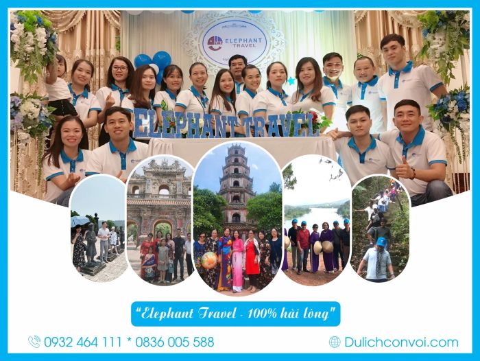 Hình ảnh hoạt động của Elephant Travel