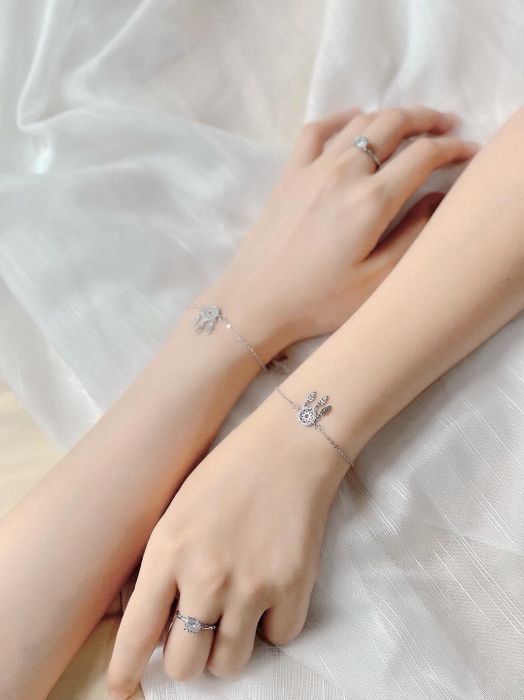 Dế Bạc - Thương hiệu trang sức bạc cho giới trẻ ảnh 1