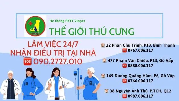 Vinpet - Hệ thống phòng khám thú y hiện đại