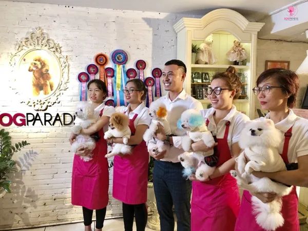 DogParadise.vn ảnh 2