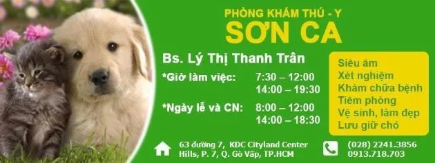 PKTY Sơn Ca – Người bạn đồng hành đáng tin cậy của thú cưng