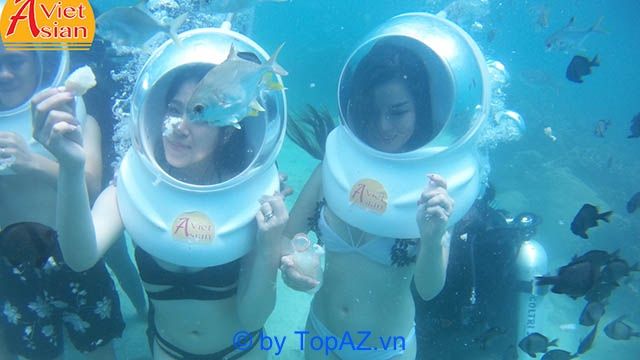 Việt Asian Nha Trang - Hành trình khám phá thế giới đại dương