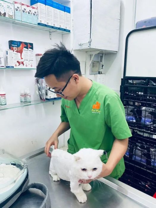 Phòng khám thú y Pet Plus - Chăm sóc tận tâm, dịch vụ toàn diện