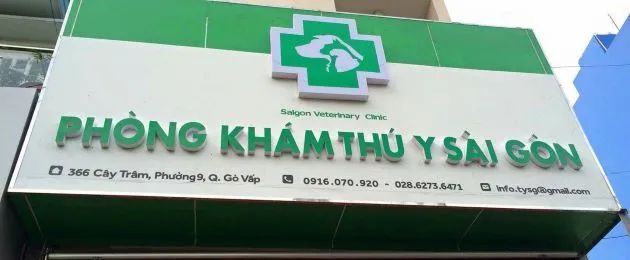 PKTY Sài Gòn – Đồng hành cùng thú cưng khỏe mạnh mỗi ngày