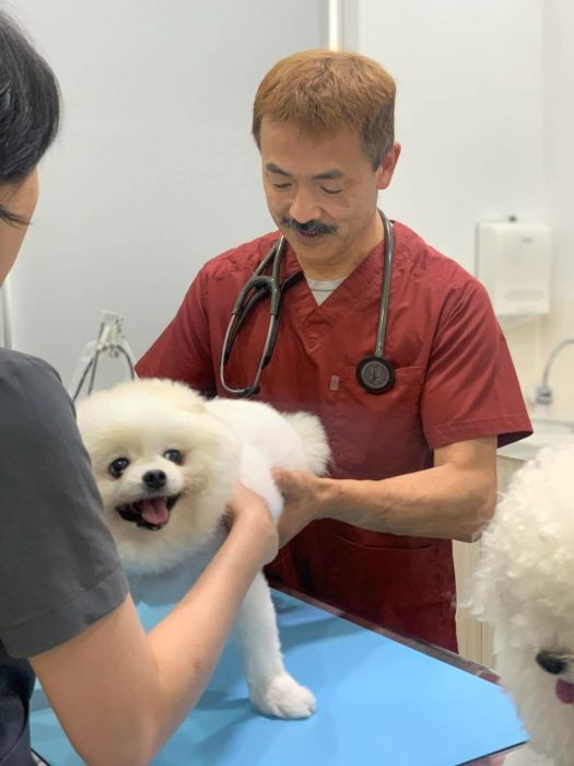 Sasaki Animal Hospital ảnh 1
