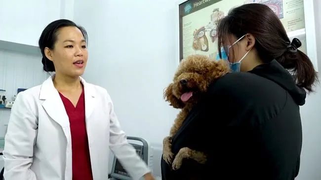 Phòng khám thú y TrustVet – Chất lượng tạo nên uy tín