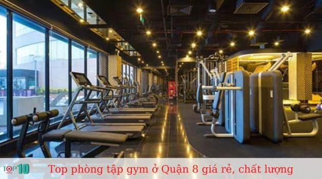 NK Fitness - Đẳng cấp thể hình chuyên nghiệp