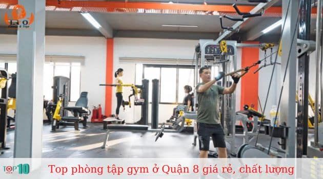 Lio Fitness & Yoga - Điểm đến vàng cho sức khỏe