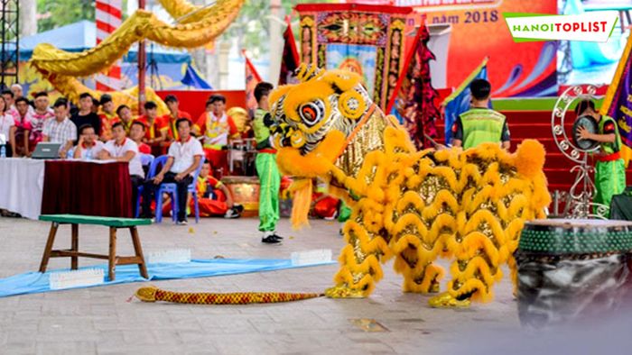doan-lan-su-rong-hao-dung-duong-chuyen-nghiep-Mytour
