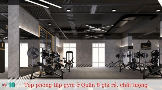 Power Gym - Nơi truyền cảm hứng thể hình