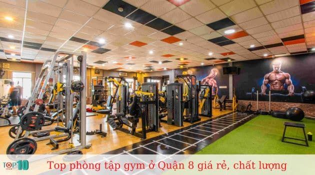 Trọng Tín Fitness - Nơi kiến tạo vóc dáng hoàn hảo