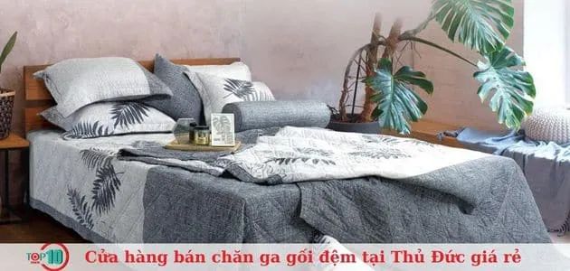 Vua Nệm - Bệ phóng giấc ngủ vàng