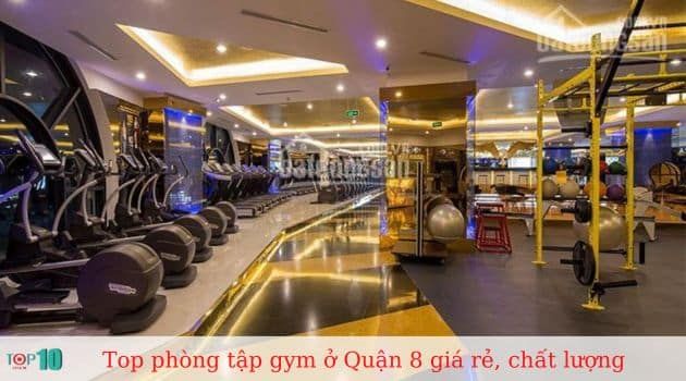 Các phòng gym chất lượng tại Quận 8