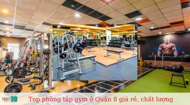 Gym T-Upes - Nơi chinh phục giới hạn bản thân