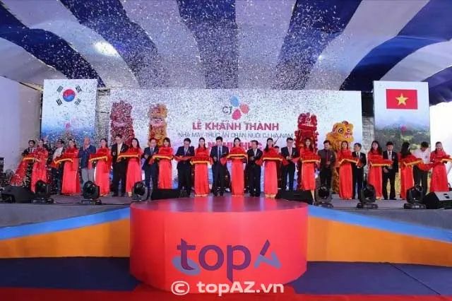 Tâm Thành Media - Kiến tạo những giá trị khác biệt