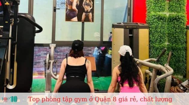 Sky Yoga Fitness Dance & Gym - Nơi hội tụ đam mê thể hình