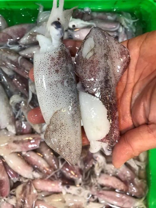 Quán Hải Sản Sân Vườn Ốc Quyên 2 ảnh 1